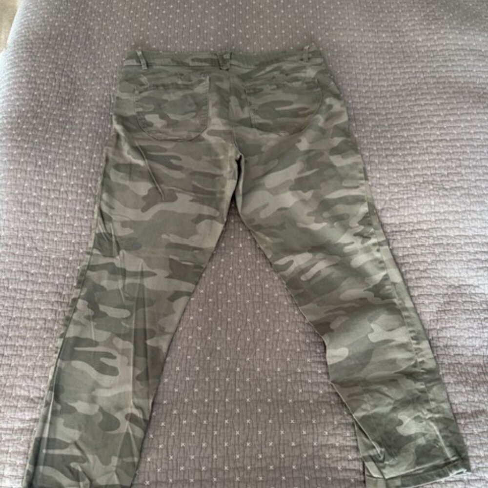 Democracy Capri Pant